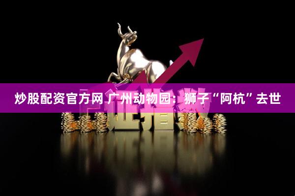 炒股配资官方网 广州动物园：狮子“阿杭”去世